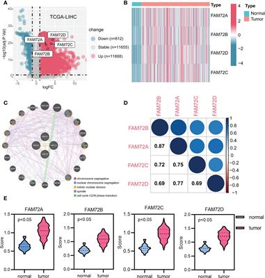 Integrated systemic analysis of FAM72A to identify its clinical relevance, biological function, and relationship to drug sensitivity in hepatocellular carcinoma